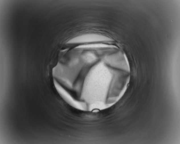 X0000087620567200705252005