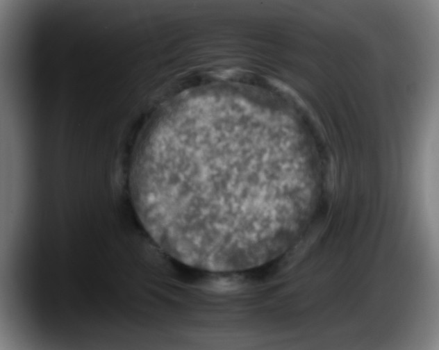 X0000087620569200705252005