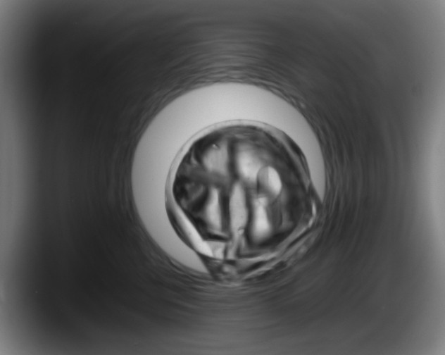 X0000087620570200705252005