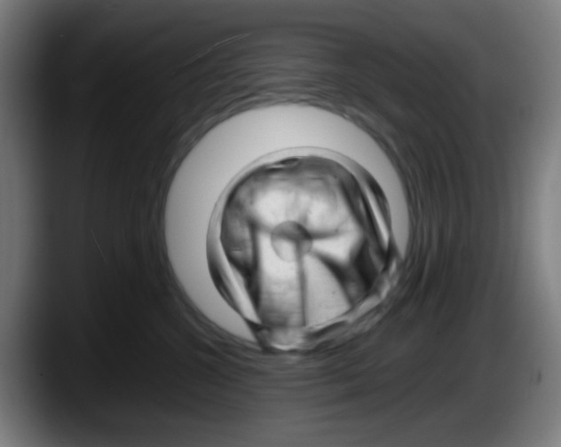 X0000087620572200705252005