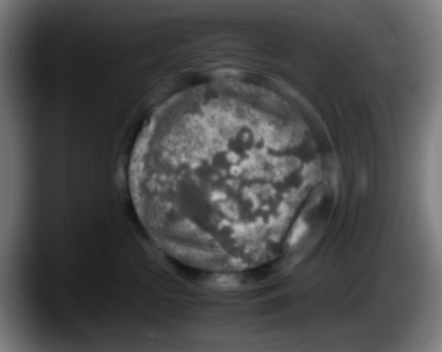 X0000087620573200705252005
