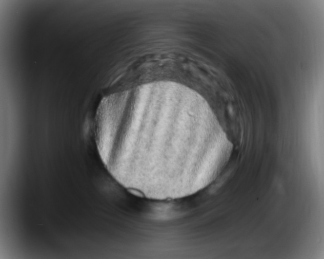 X0000087620574200705252005