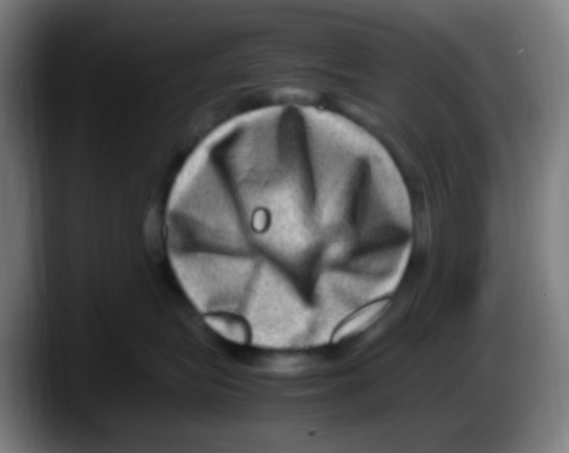X0000087620575200705252005