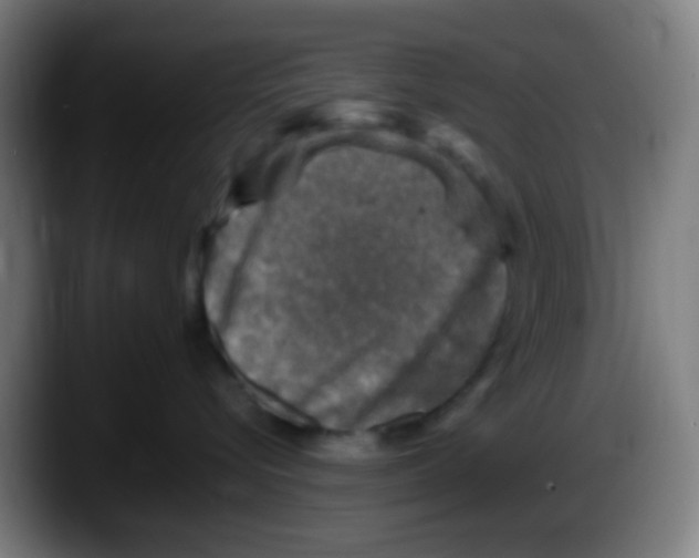 X0000087620576200705252005