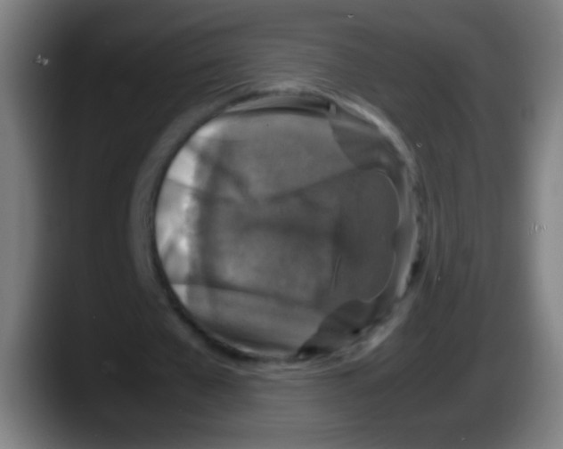 X0000087620577200705252004