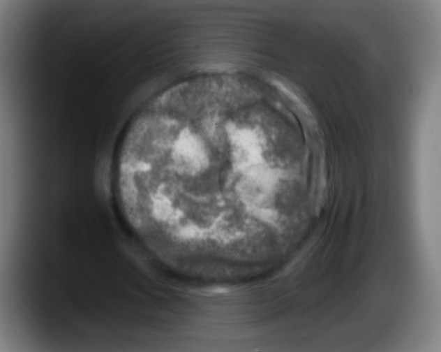 X0000087620578200705252004
