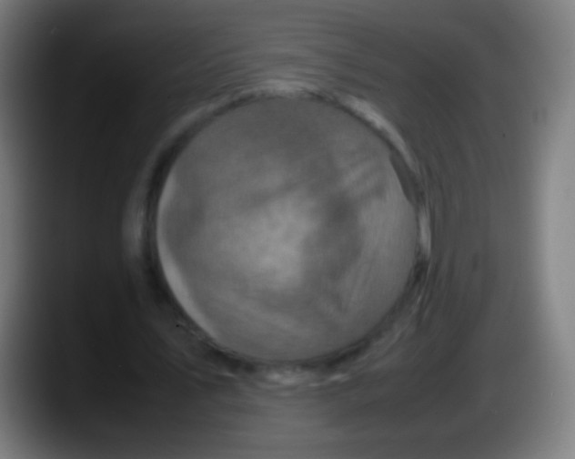 X0000087620579200705252004