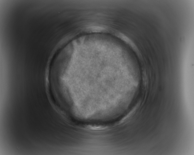 X0000087620582200705252004