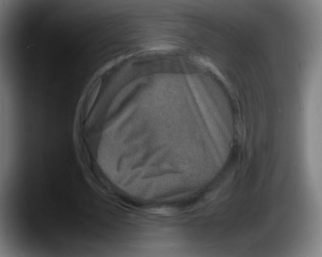 X0000087620583200705252004