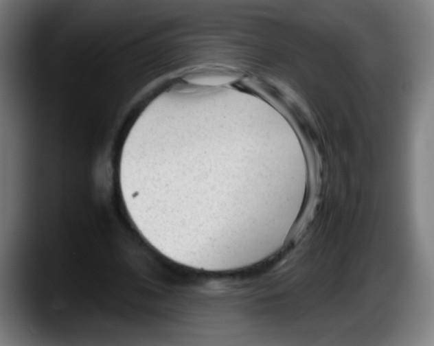 X0000087620584200705252004