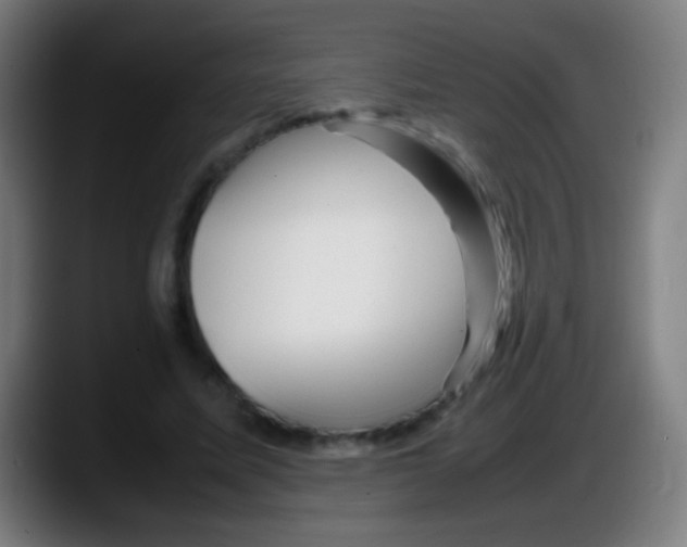 X0000087620587200705252004