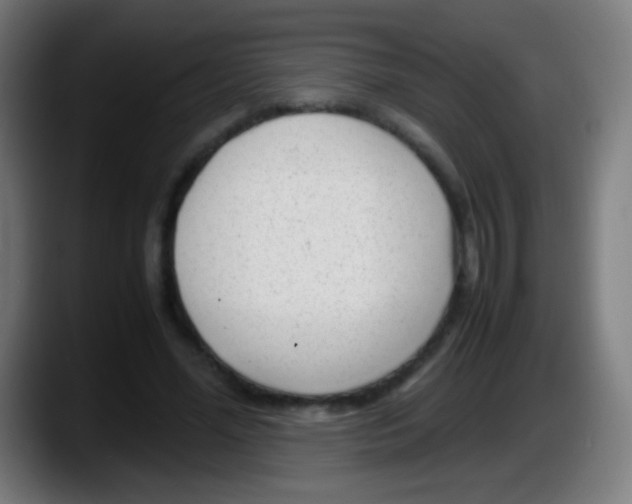 X0000087620588200705252004