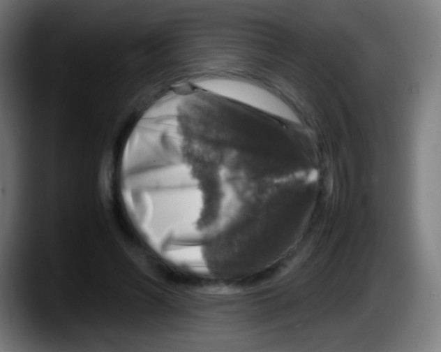 X0000087620590200705252004