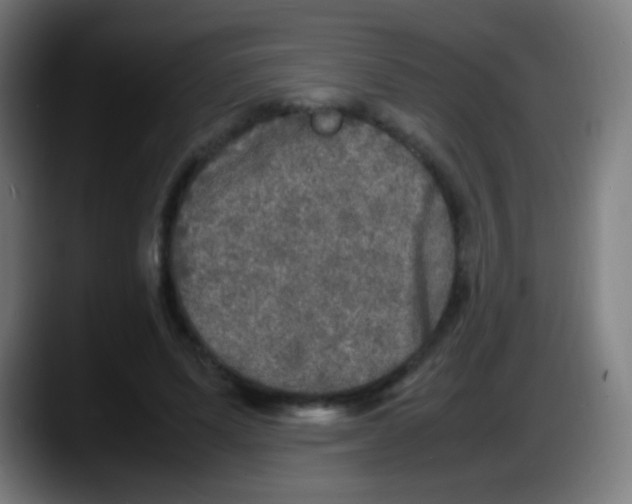 X0000087620591200705252004