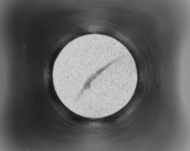 X0000087620592200705252004