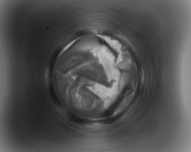 X0000087620594200705252004