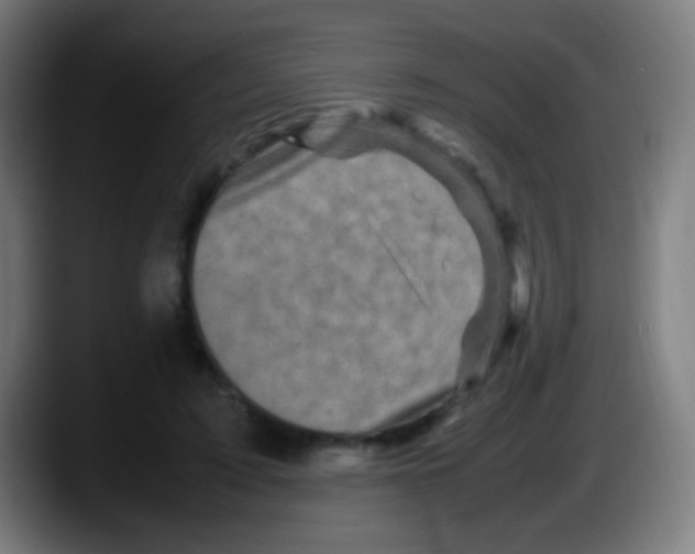 X0000087620595200705252004