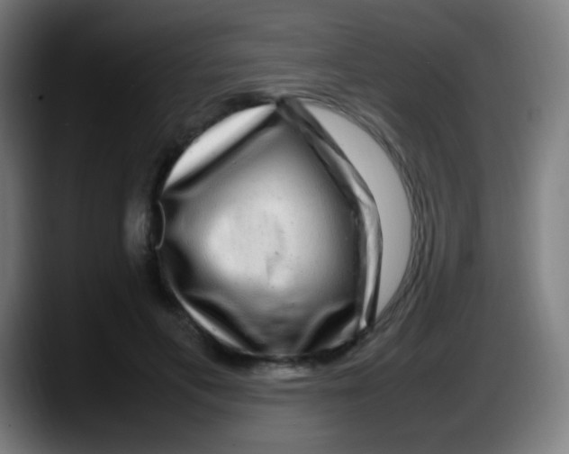 X0000087620597200705252004