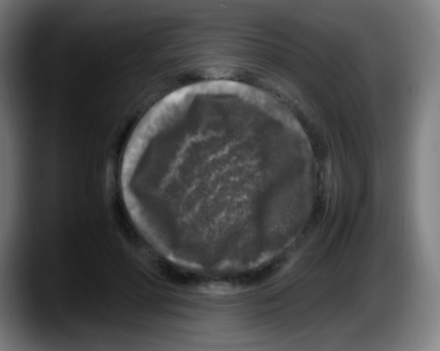 X0000087620598200705252004