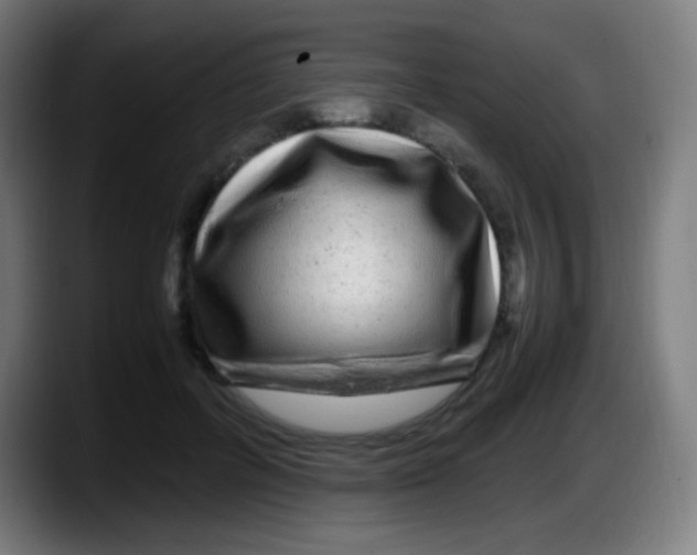 X0000087620600200705252004