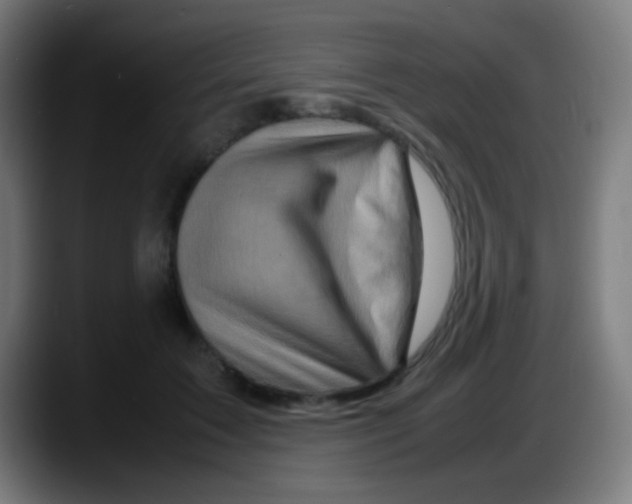 X0000087620603200705252004
