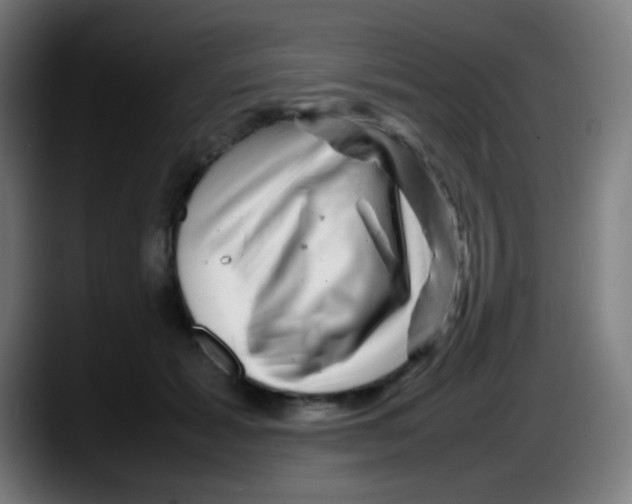 X0000087620605200705252004
