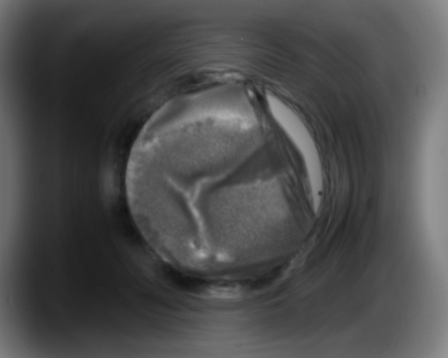 X0000087620606200705252004