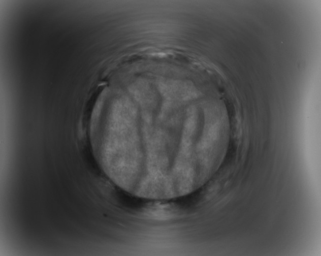 X0000087620607200705252004
