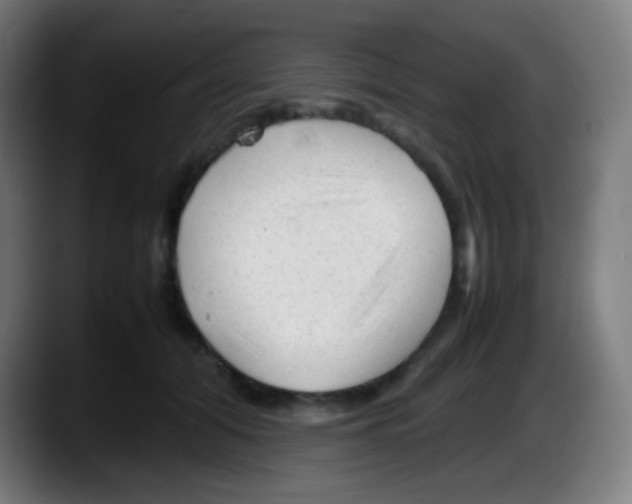 X0000087620608200705252004
