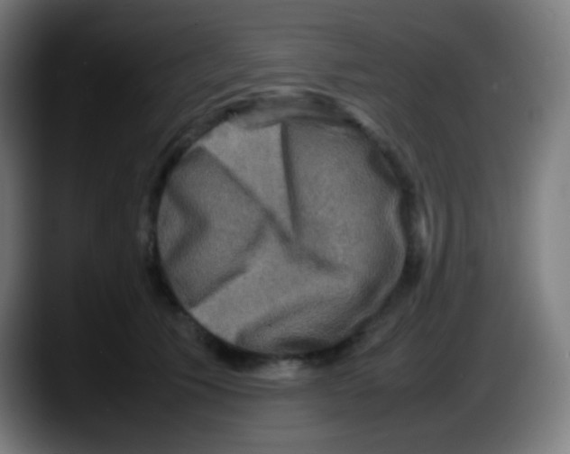 X0000087620609200705252004