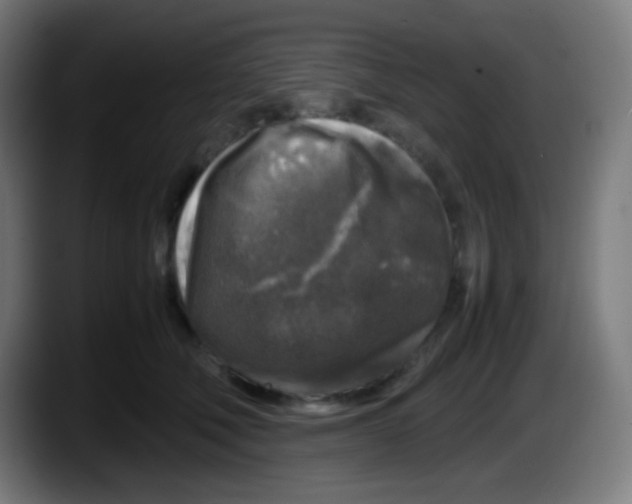 X0000087620610200705252004