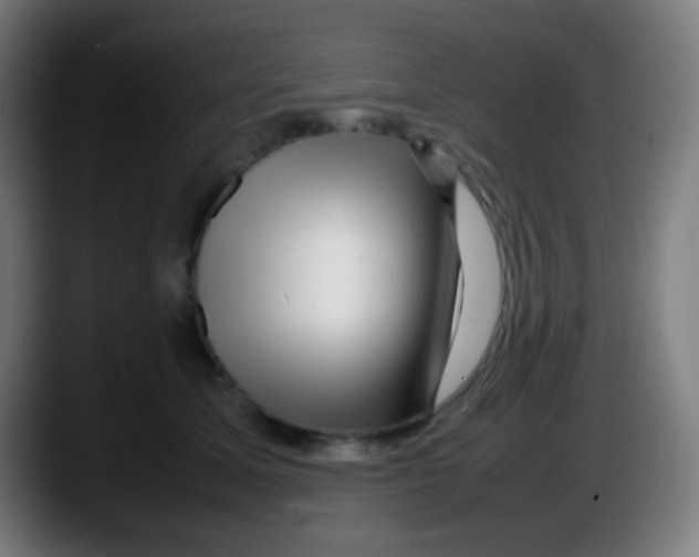 X0000087620611200705252004