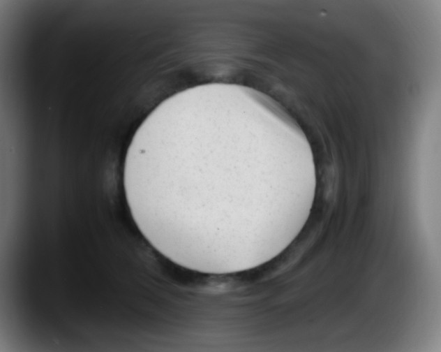 X0000087620612200705252004