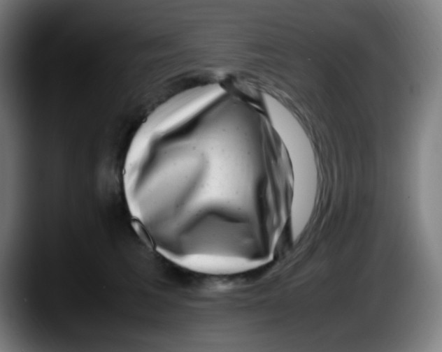 X0000087620613200705252004