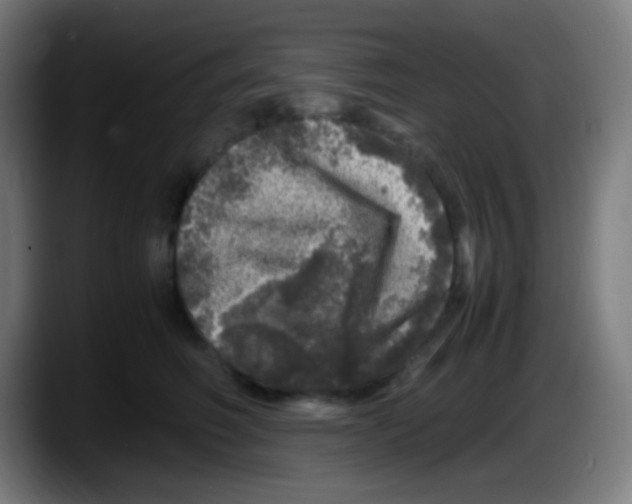 X0000087620614200705252004