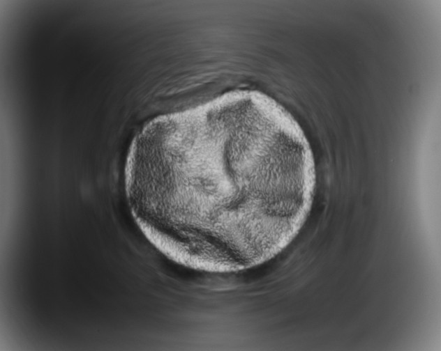 X0000087620615200705252004