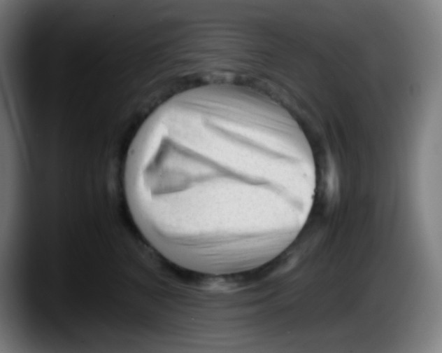 X0000087620616200705252004