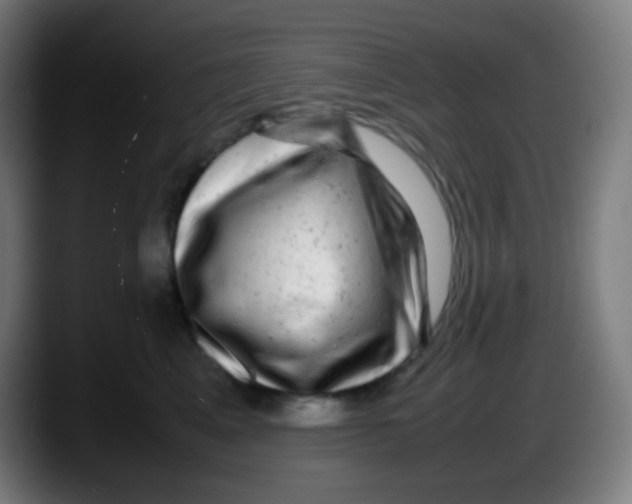X0000087620617200705252004