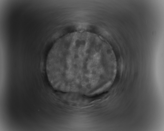 X0000087620619200705252004