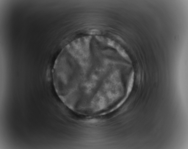 X0000087620620200705252004