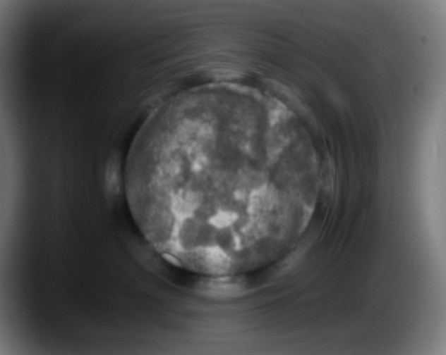 X0000087620622200705252004