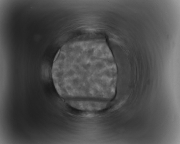 X0000087620624200705252004