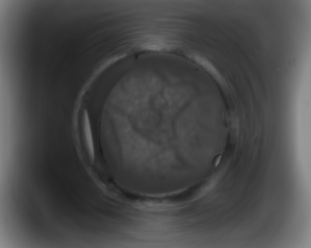 X0000087620626200705252003