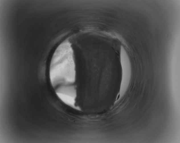 X0000087620627200705252003