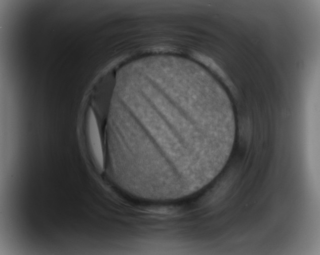 X0000087620629200705252003