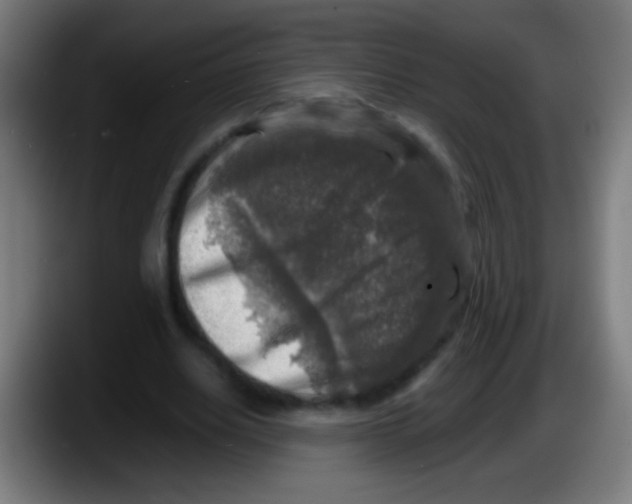 X0000087620630200705252003