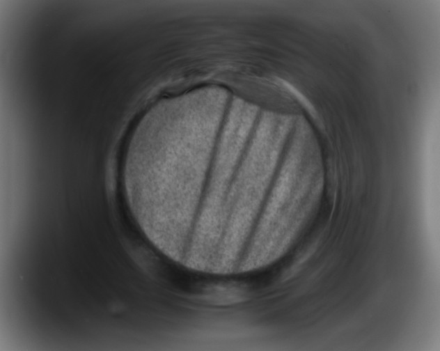 X0000087620631200705252003
