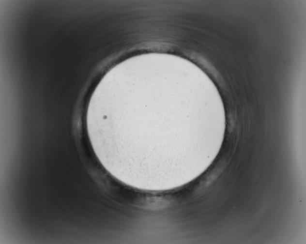 X0000087620632200705252003