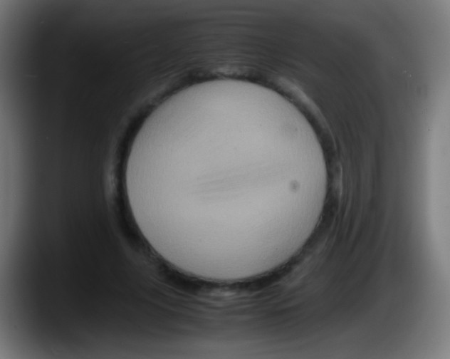X0000087620635200705252003