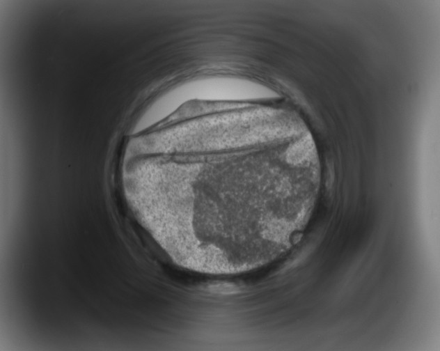 X0000087620636200705252003